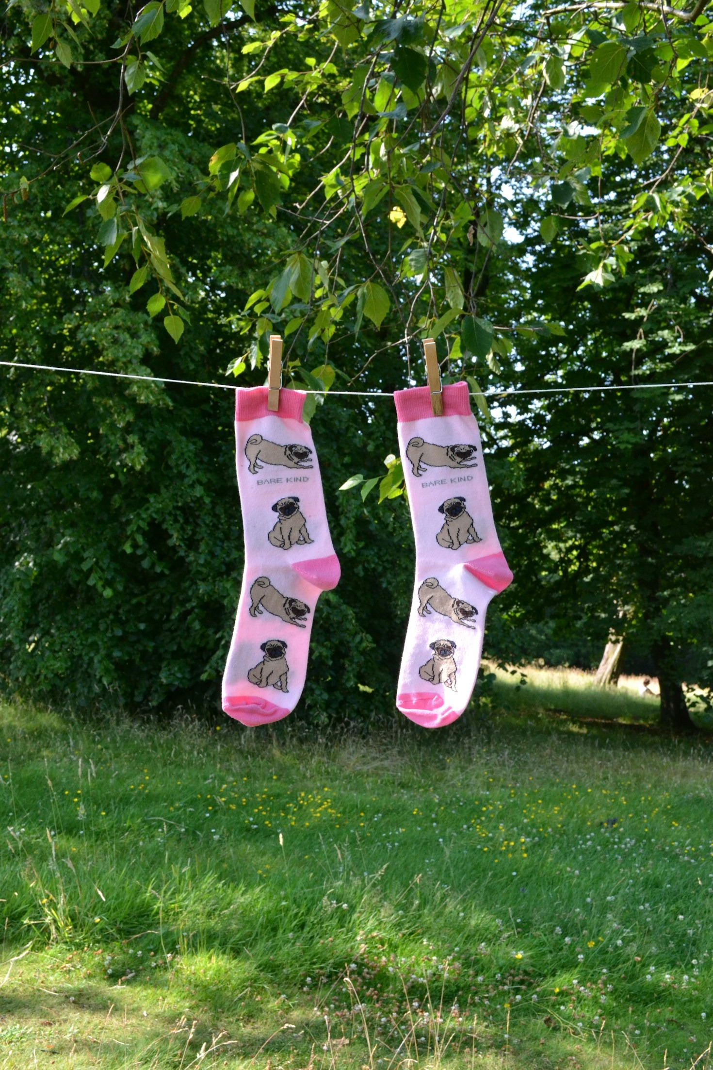 The Benefits of Wearing Alpaca Socks