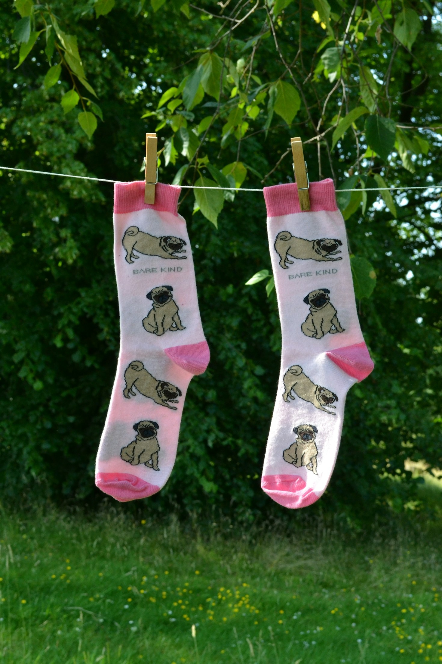 How to Choose the Right Alpaca Socks