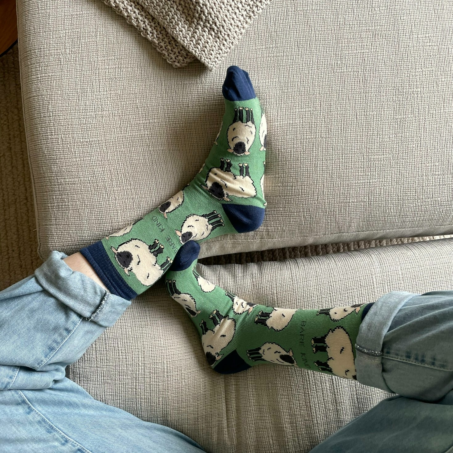 From Farm to Feet: The Story of Alpaca Fiber